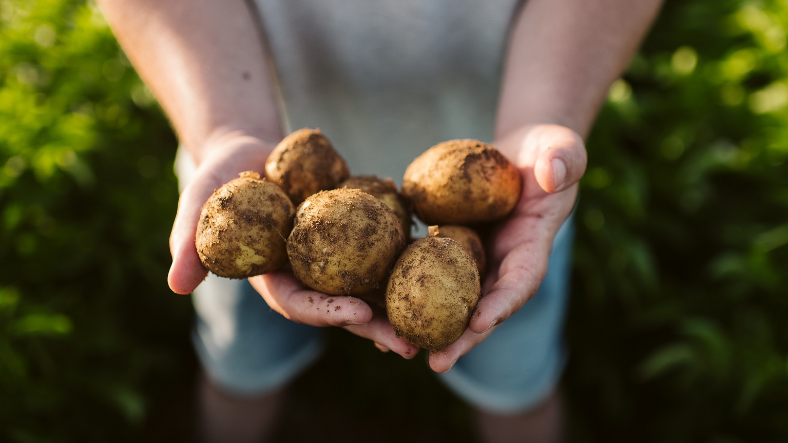 Food System Body Hero